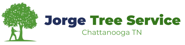 Jorge Tree Service