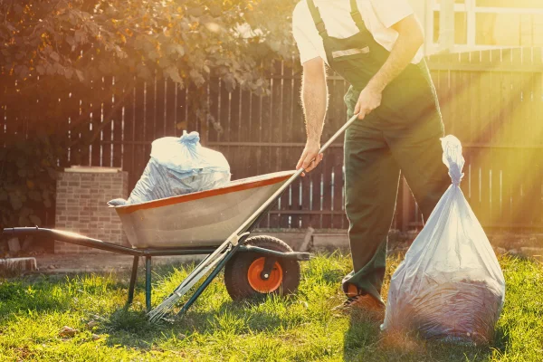 Landscaping Services Landscaping Services