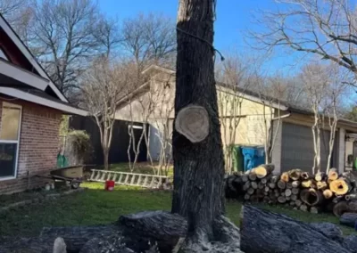 Reliable Local Tree Service