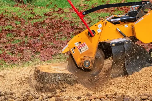 Stump Removal Stump Removal