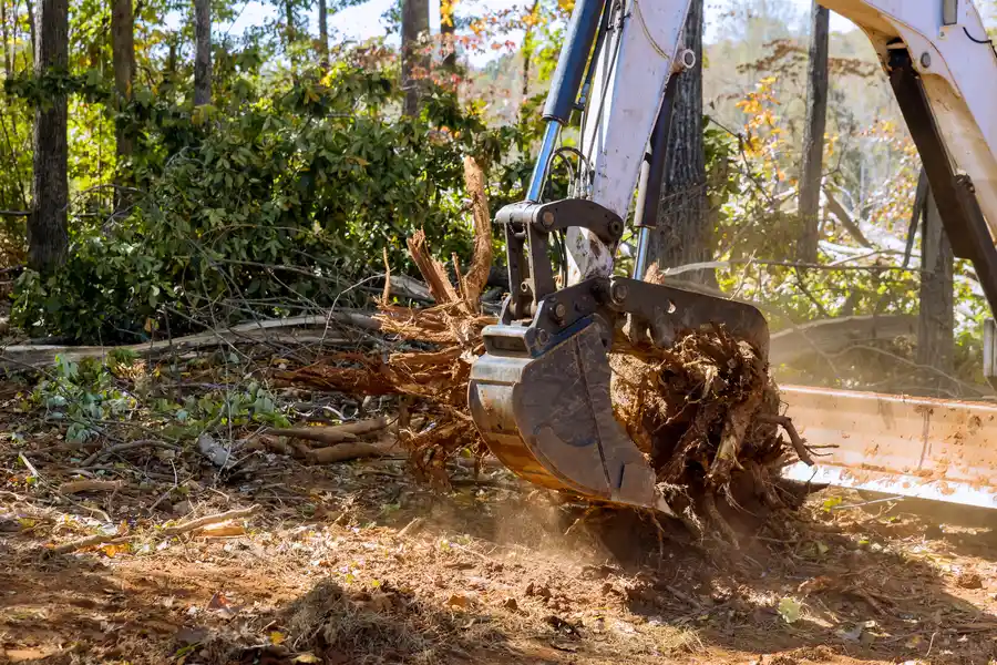 Expert Stump Removal Chattanooga, TN Expert Stump Removal Chattanooga, TN