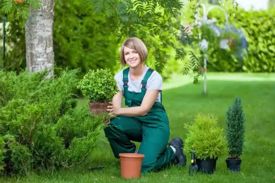 How Landscaping Services Can Transform Your Propertys Curb Appeal Chattanooga, TN