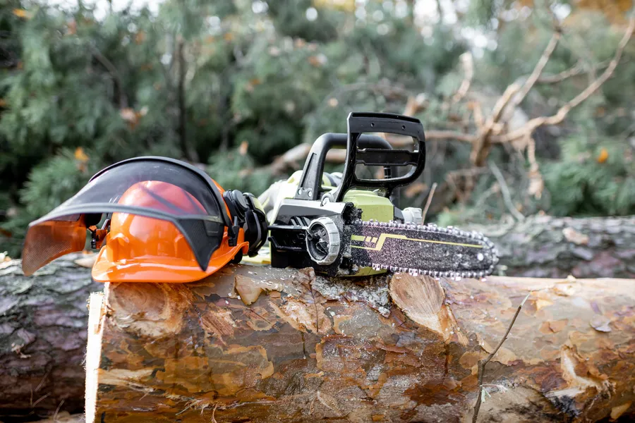 How Tree Cutting Enhances Property Safety And Aesthetics Chattanooga, TN