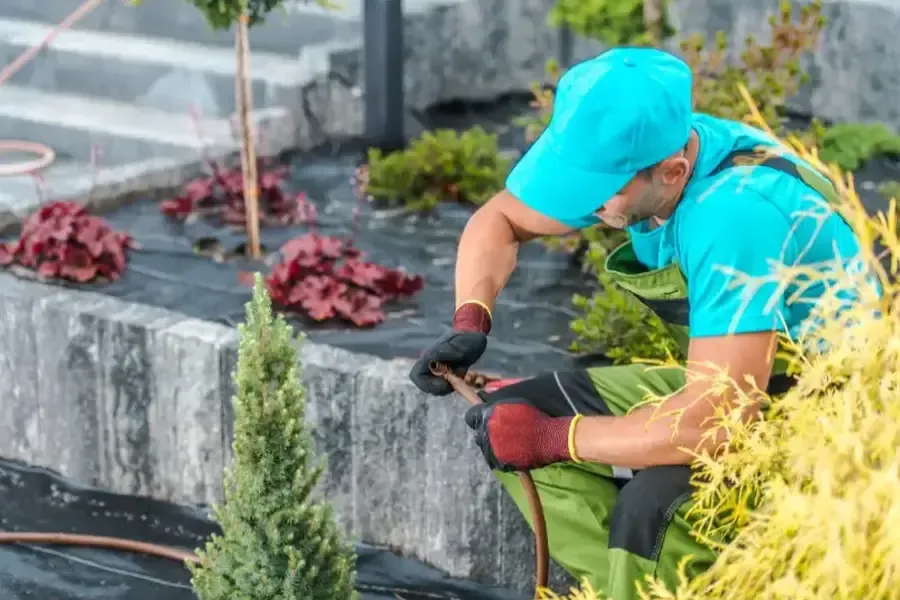 Local Landscaping Services Chattanooga, TN