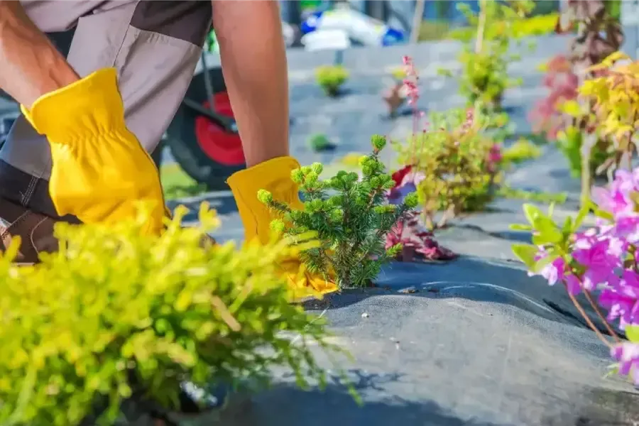 Premium Landscaping Services Chattanooga, TN