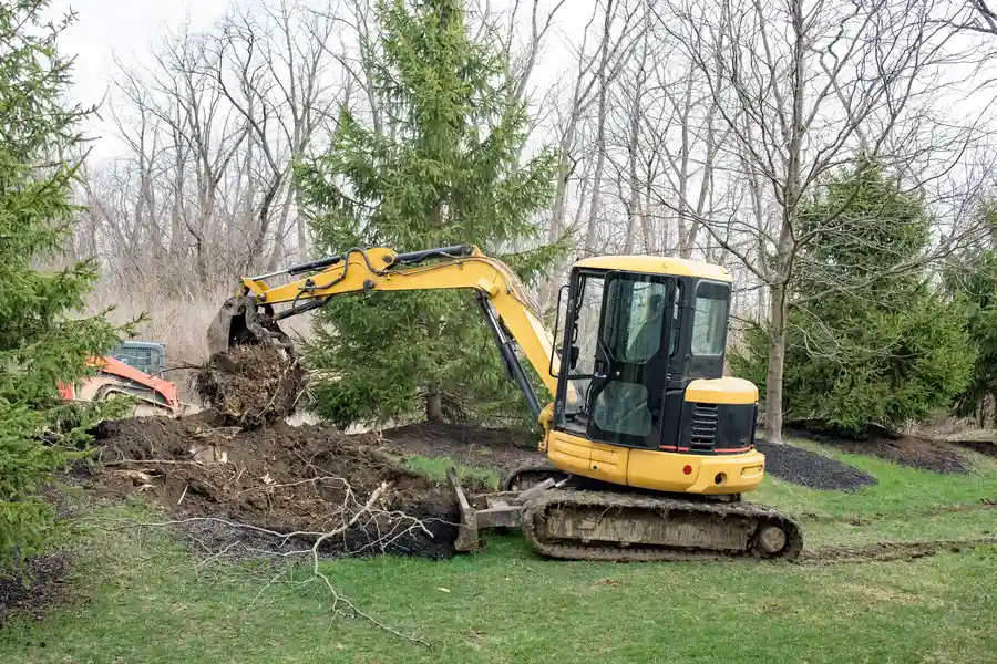 Superior Stump Removal Chattanooga, TN Superior Stump Removal Chattanooga, TN