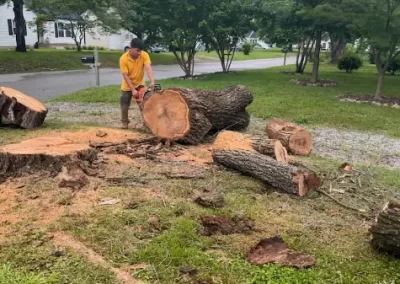 Trusted Tree Maintenance