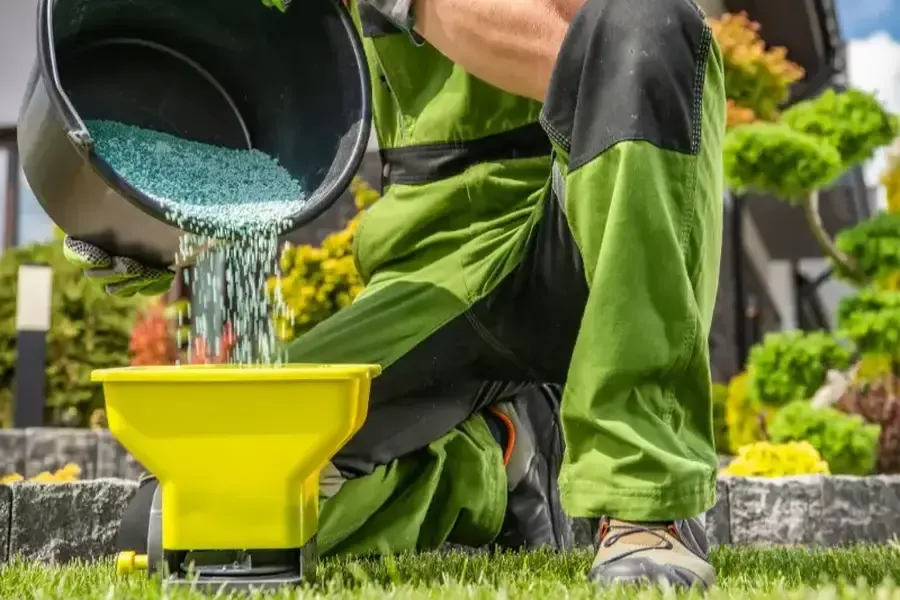 Why Landscaping Services Are Essential For Maintaining Healthy Lawns Chattanooga, TN