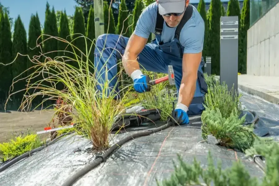 Why Landscaping Services Are Essential For Maintaining Healthy Lawns in Chattanooga, TN