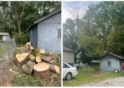 Local Tree Service Provider